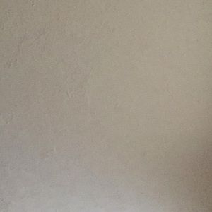 Meet your Posher, Lacy